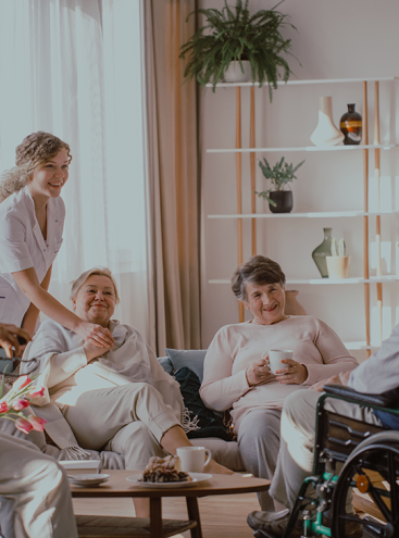 Verpleeghuiszorg / VPT